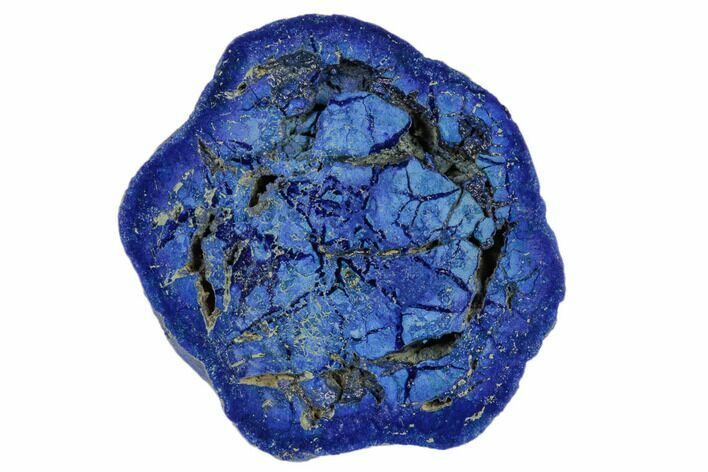 Vivid Blue, Cut & Polished Azurite Nodule - Siberia #190170